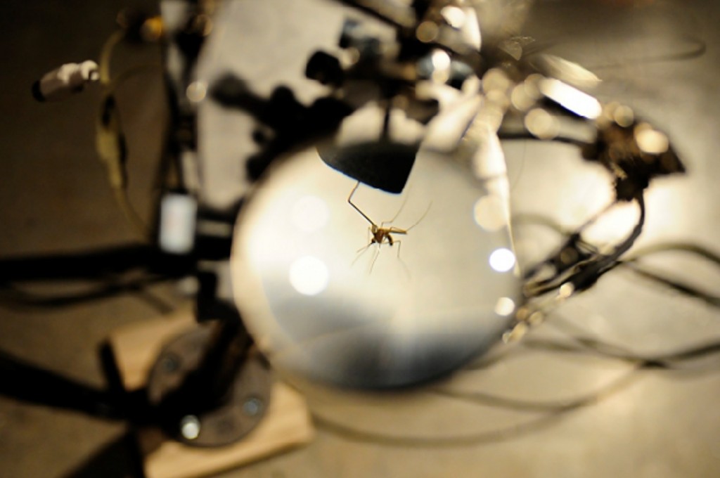 Truce: Strategies for Post-Apocalyptic Computation (2009)