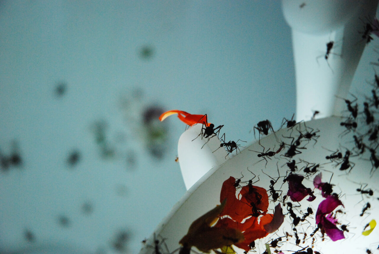 The Tragedy of the Commons