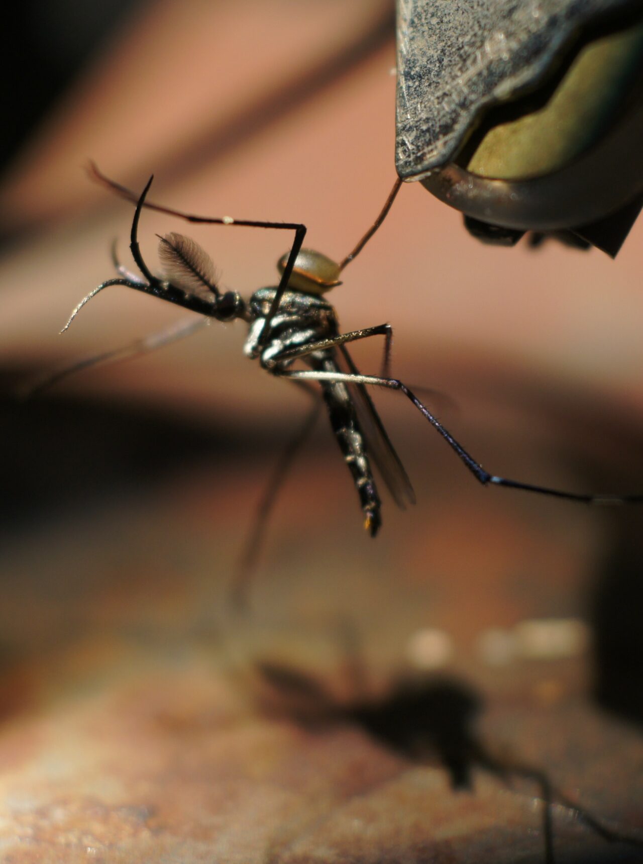 Truce: Strategies for Post-Apocalyptic Computation (2009)