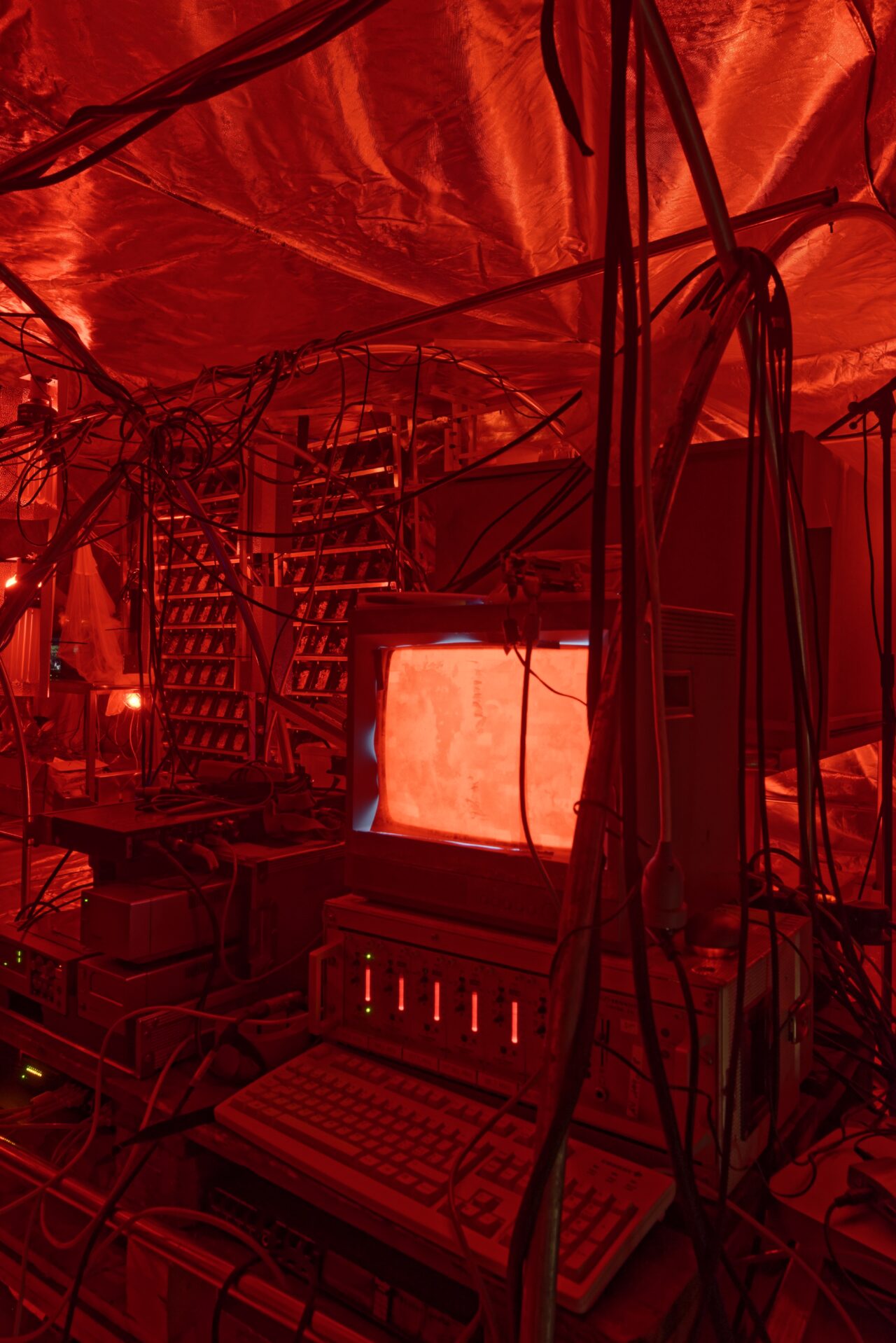 L’ordre des Lucioles at Fondation Ricard