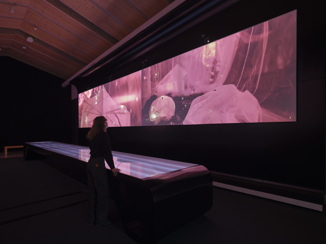 Chimera States: Synchronicity exhibition at EPFL, Switzerland
