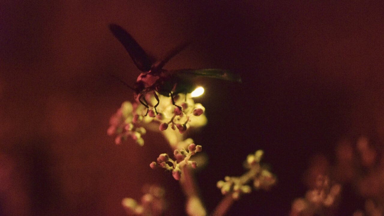 Gewerbemuseum Winterthur