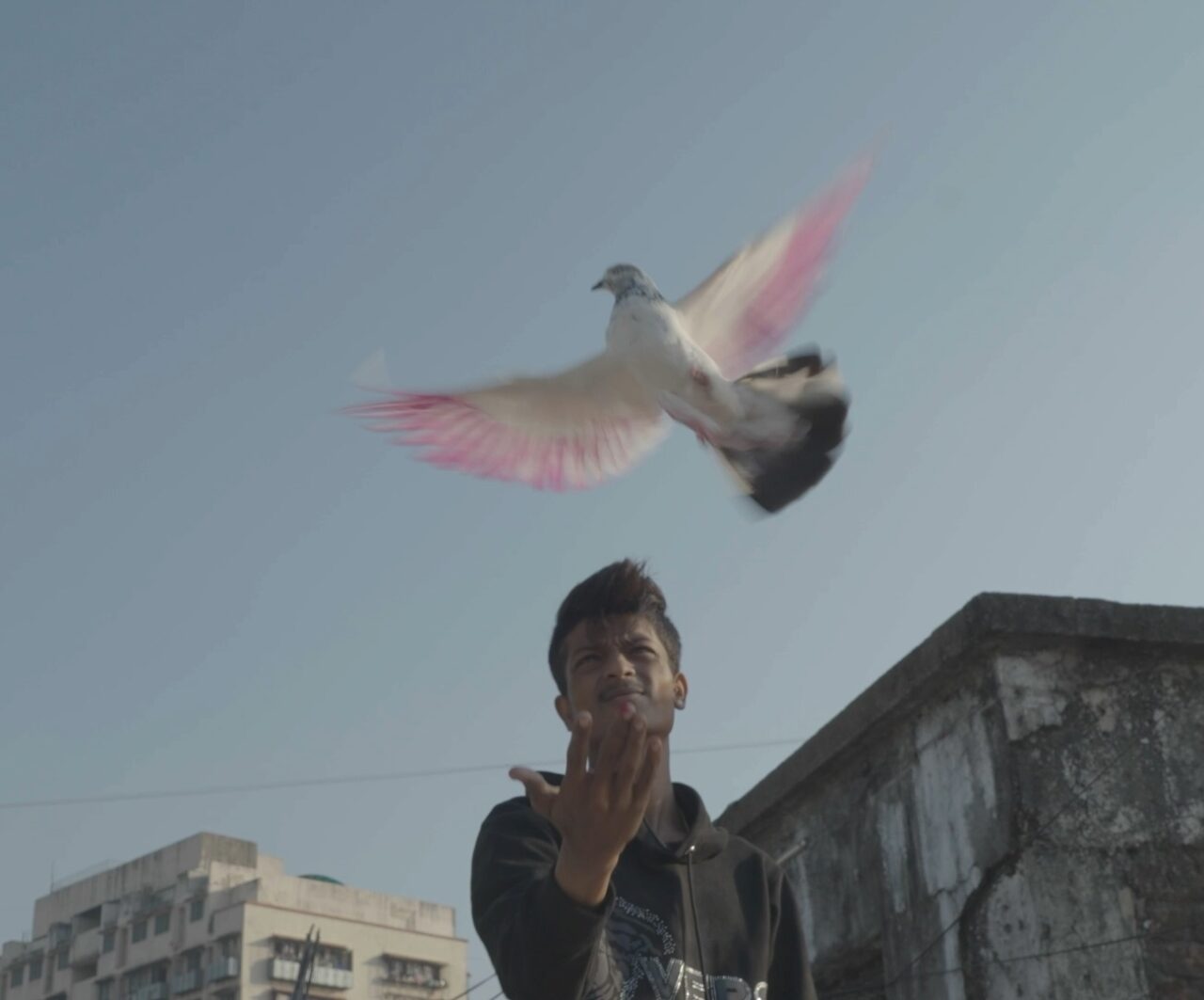 Apophenia Mumbai Urban Art Festival